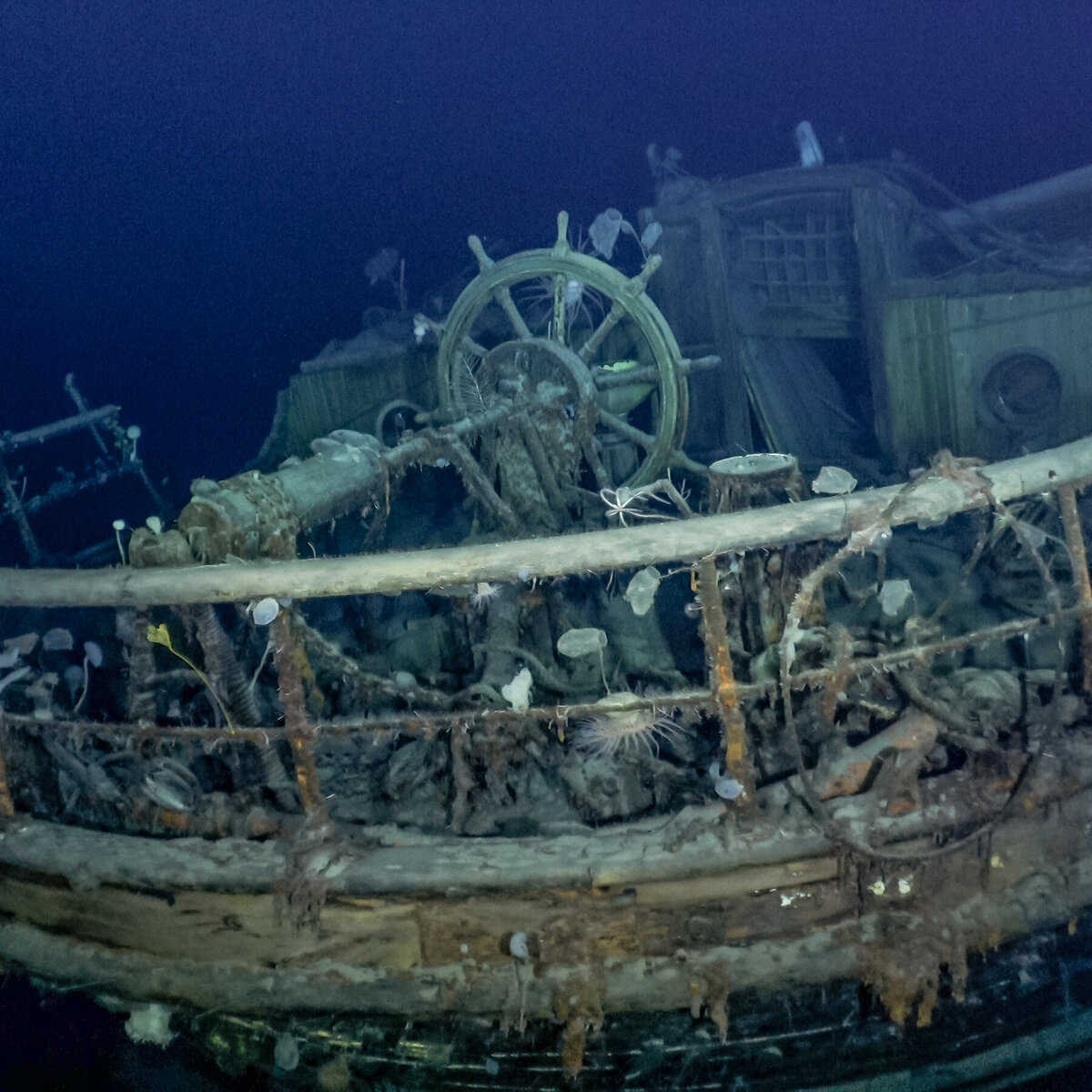 Обломки корабля «Эндьюранс» сэра Эрнеста Шеклтона были найдены спустя более века