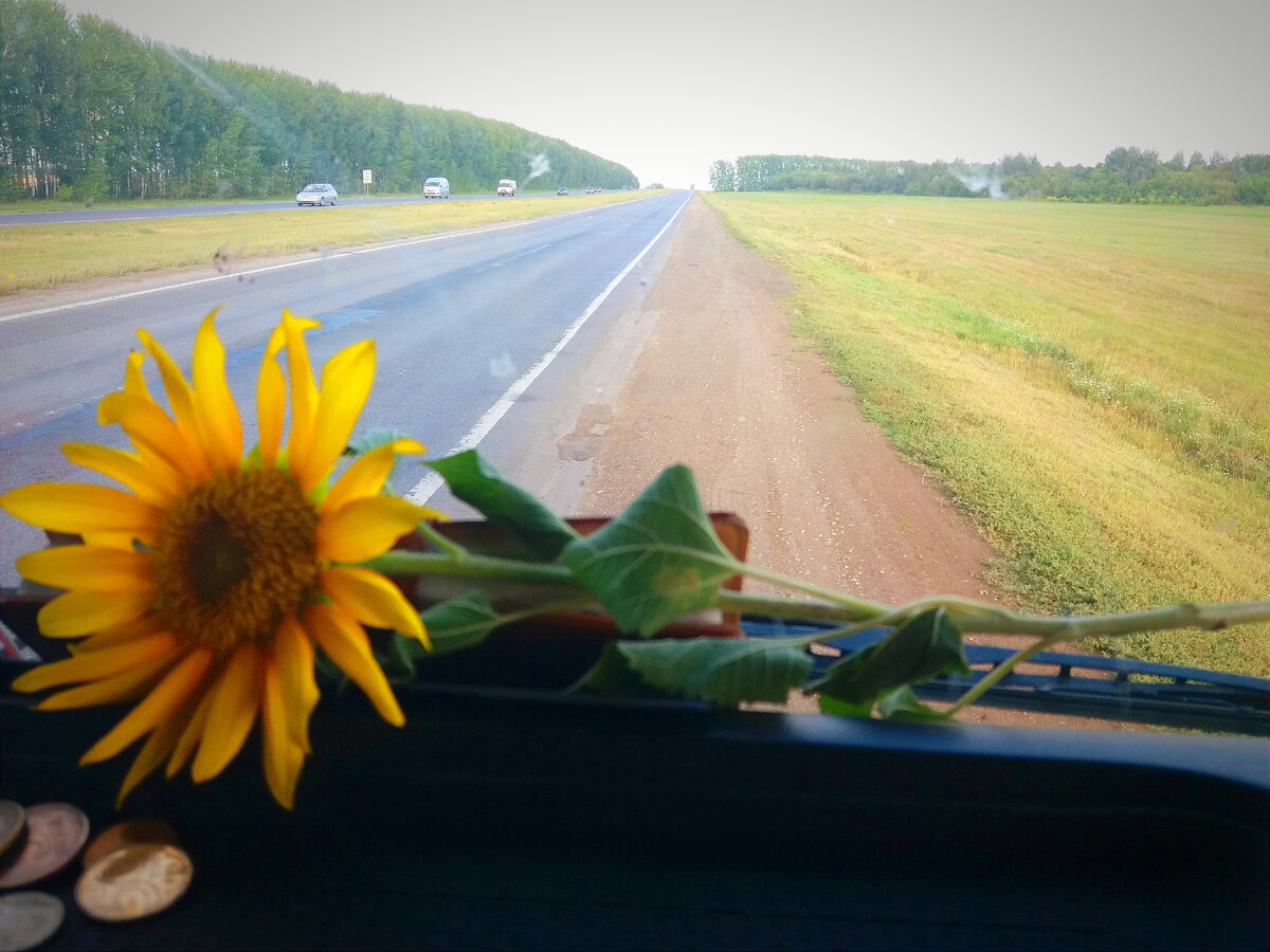 На просторах Башкирии. Всё фото в публикации авторские