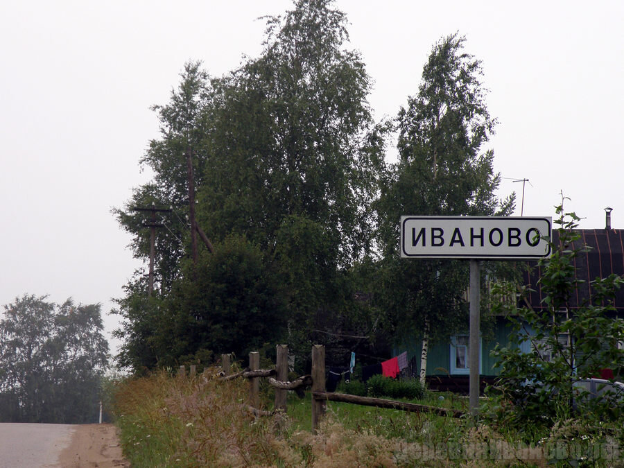 Лёгкий рябиновый лес тайно следит за вами