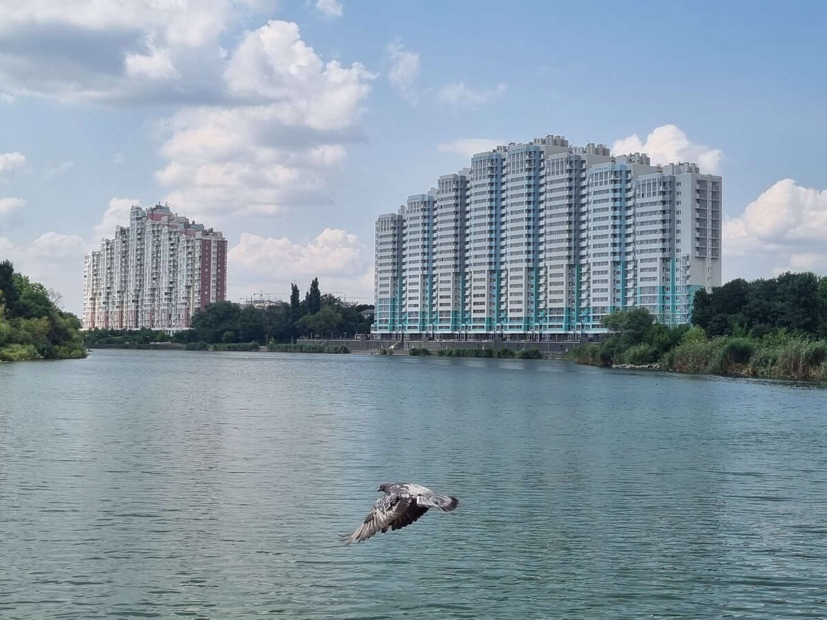 Жилые комплексы Чистые пруды и Дом у озера на одном фото