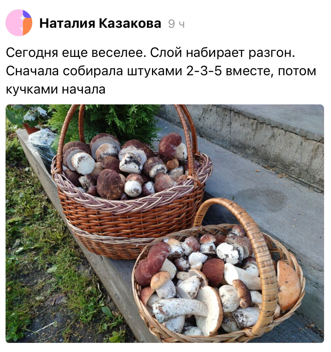 Фото подписчицы, 24.07.2023….Дальний юго-восток Московской Области….