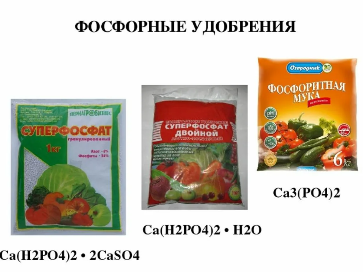 Растения содержащие фосфор. Удобрения с высоким содержанием фосфора. Удобрение с высоким содержанием калия и фосфора. Названия сложные фосфорно-калийные удобрения. Калийные удобрения для растений формула.