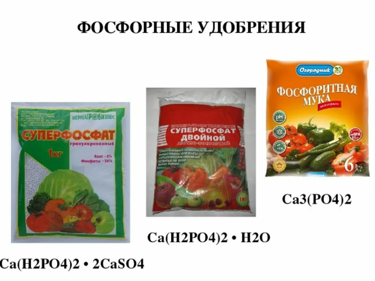 Подкормка растений фосфором. Удобрения с высоким содержанием фосфора. Удобрение с высоким содержанием калия и фосфора. Удобрения из фосфорной кислоты. Названия сложные фосфорно-калийные удобрения.