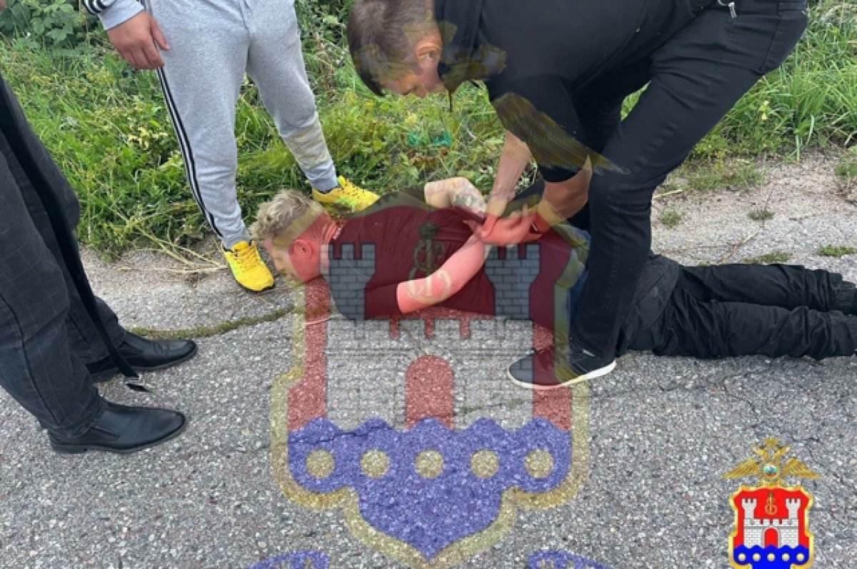    Полиция обнаружила водителя, сбившего двух девочек и скрывшегося