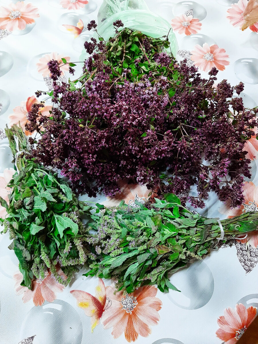 Пучок душицы и два пучка мяты