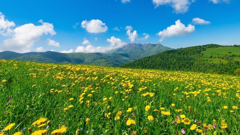 Фото: @michelangeloop / ru.freepik.com