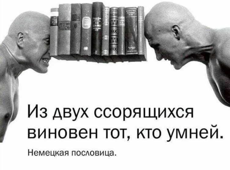 Пока не будет доказана его. Цитаты про спор. Высказывания о дураках. Цитаты о спорах. Фразы Мудрые о дураках.