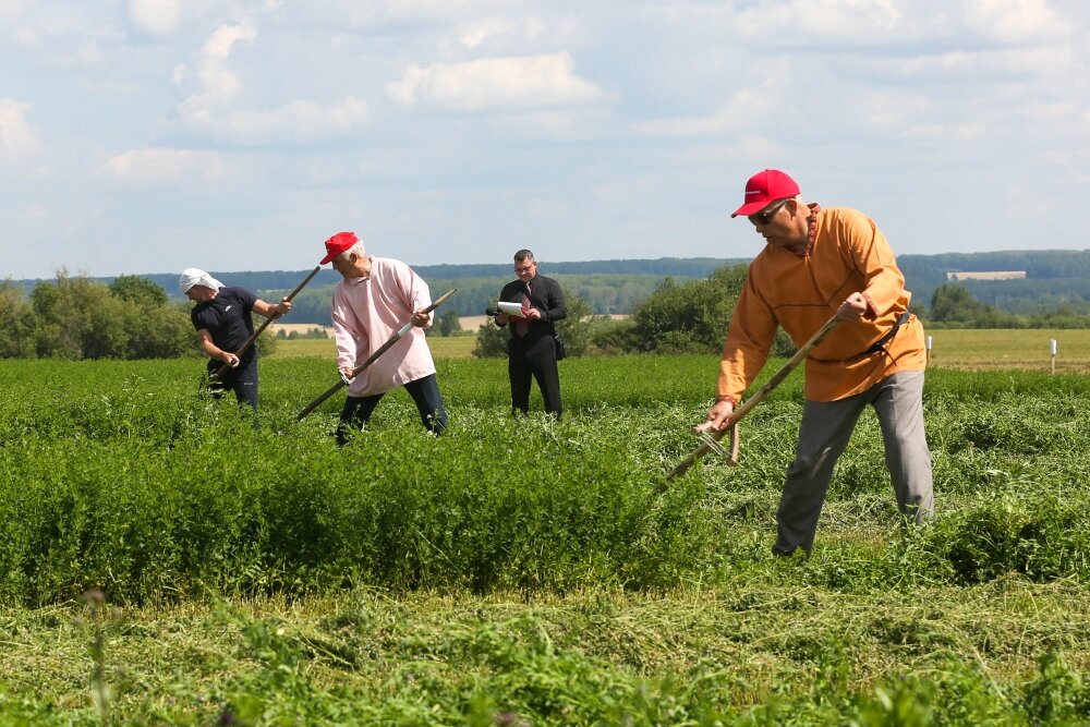    Каждому участнику организаторы выделили в поле полоску некошеной травы. Фото: «АиФ-Урал»/ Евгений Лобанов