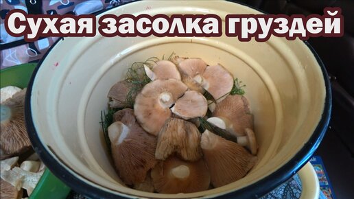 Сухая засолка груздей