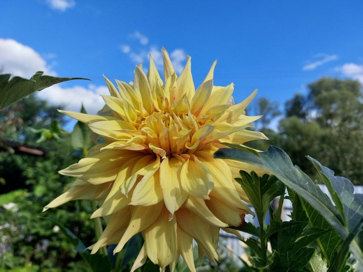 гороскоп на  первую неделю августа, фото Людмила Коссович