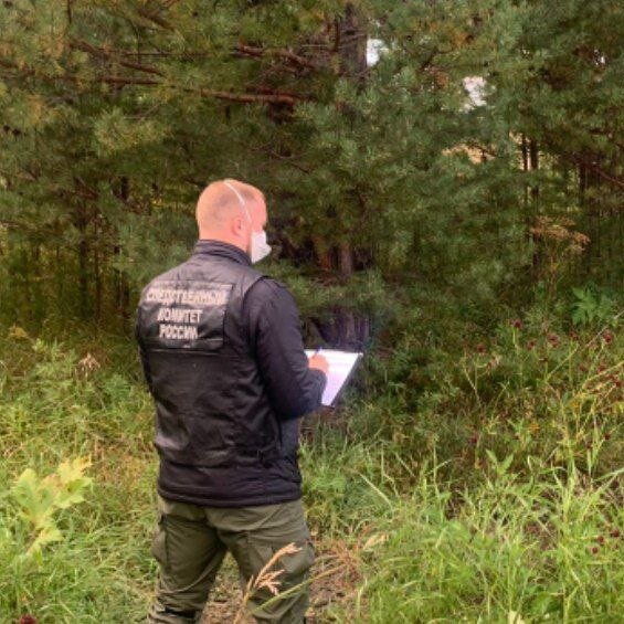 Следователи предъявили 49-летней жительнице Нижнеудинска обвинение в убийстве. Как сообщает СУ СК России по Иркутской области, женщина решила избавиться от бывшего мужа.