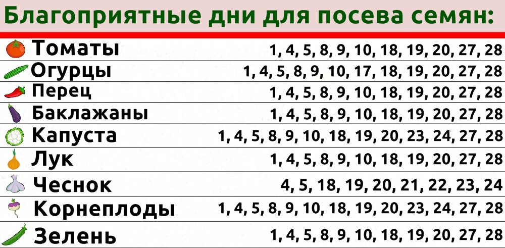 Календарь огородника на сентябрь 2024 года