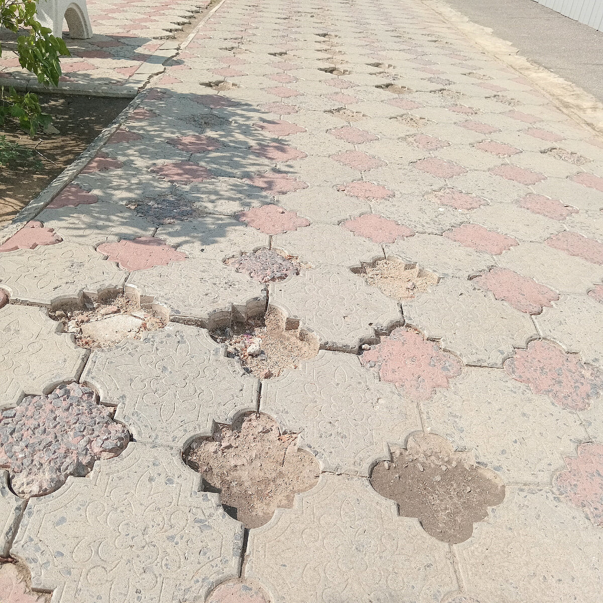 городище 2023