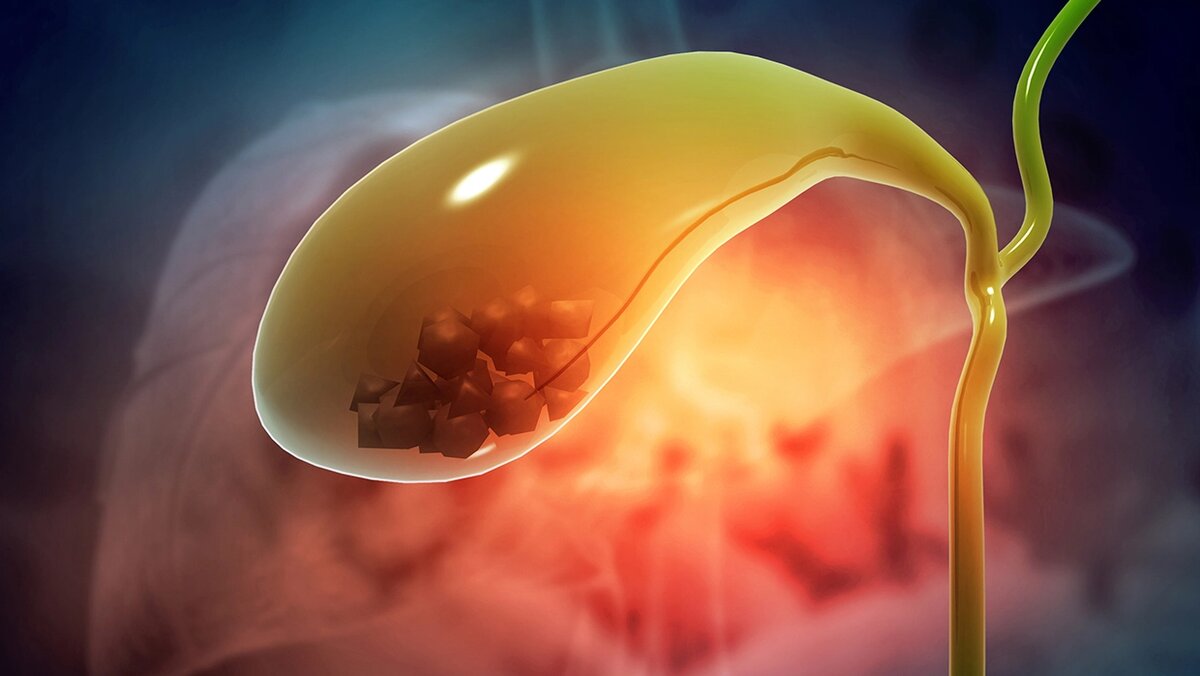 Иллюстрация взята с сайта яндекс Картинки