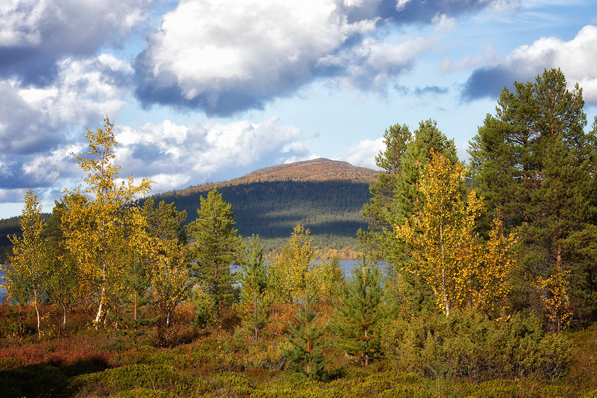 Заполярная осень