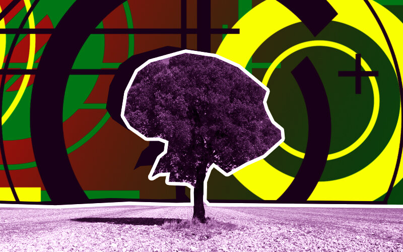 Злачное мест