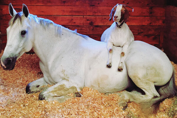 Источник фото сервис Яндекс.Картинки