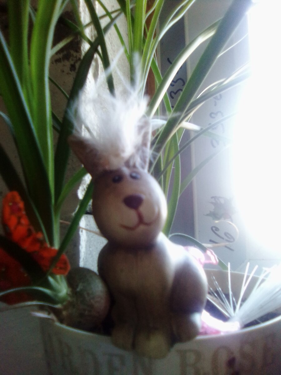 авторское фото