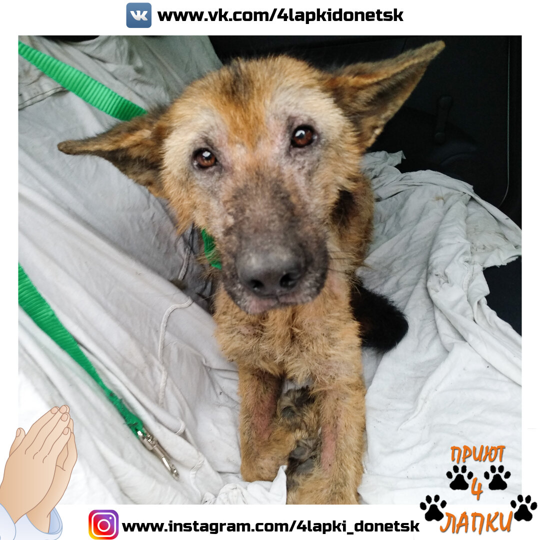 Фото:Андрей Шаталов