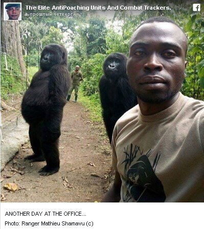 (фото из открытых источников)