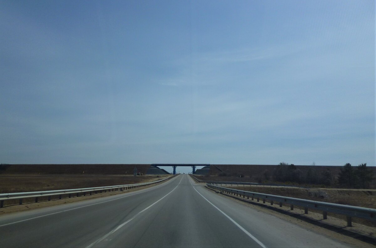 Собственное фото. Амурская область.