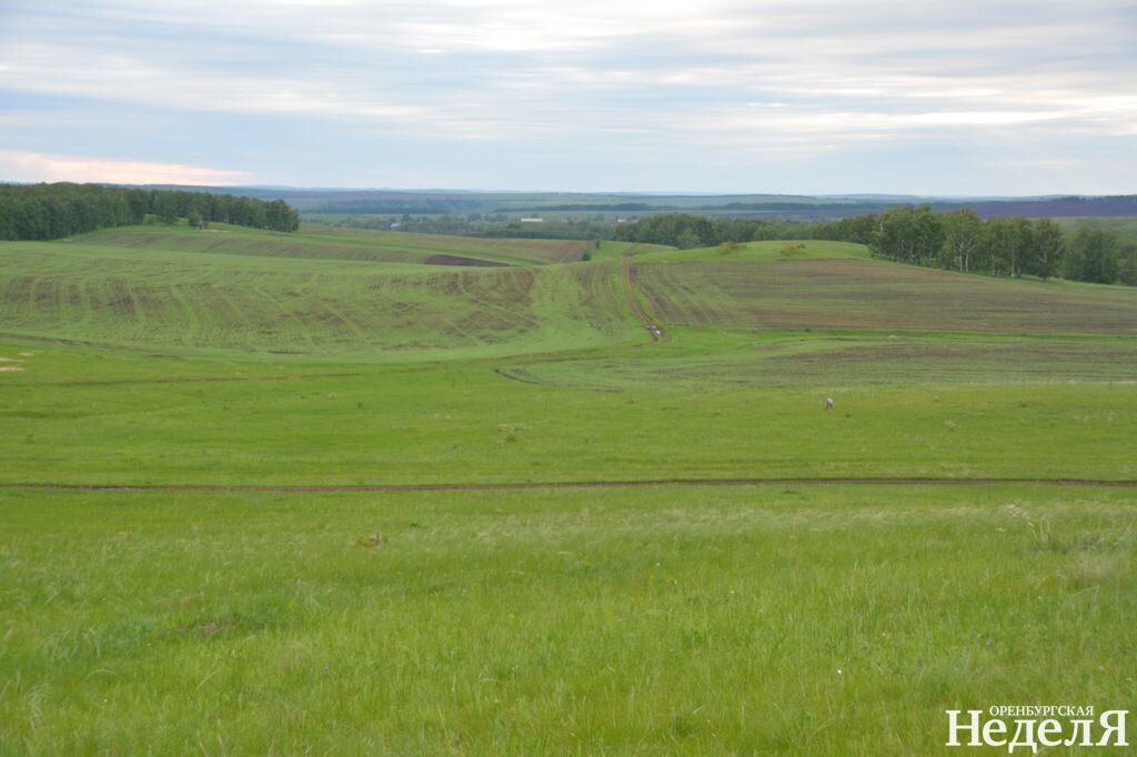 Село илецкое оренбургская. Гора Накас Оренбургская область. Хребет малый Накас. Гора Накас Тюльганский район. Гора малый Накас.