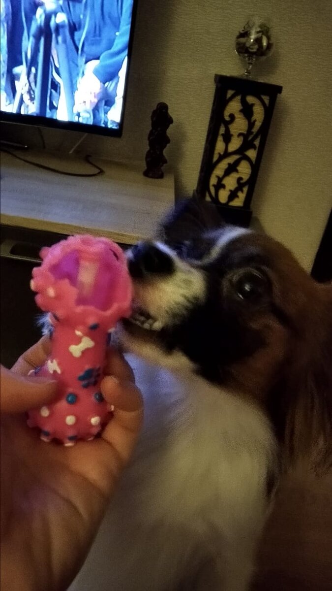 Все, что осталось от игрушки. Потом у Джона жутко болел живот. 