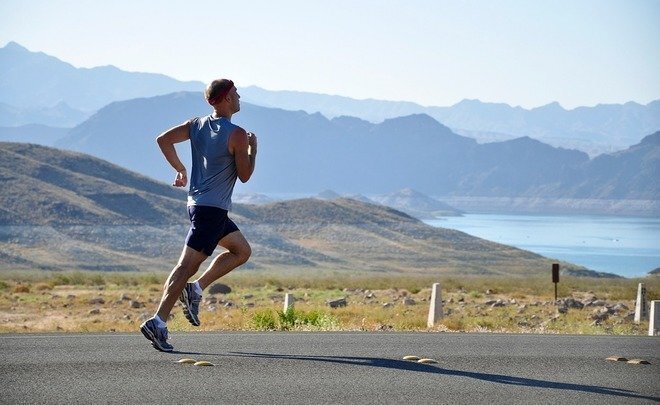  Фото: pixabay.com