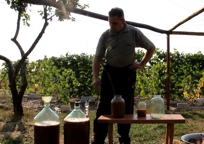 Как приготовить домашнее вино из ягод и фруктов со своего сада без ...