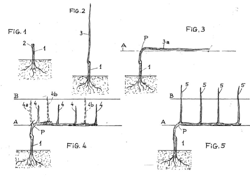 Схема, которую создатели системы приложишь к патентной заявке. Взята из первоисточника. 