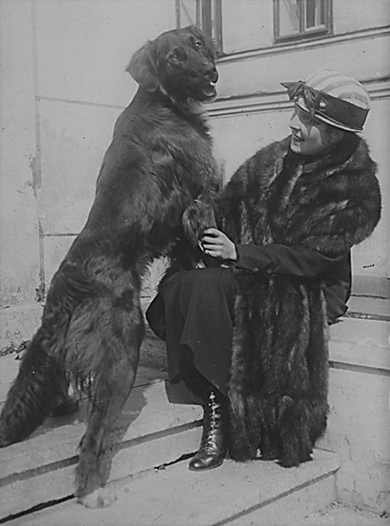 Фотография. Лиля Брик и собака Щеник. Заодно можете решить - права ли была Лиля:)