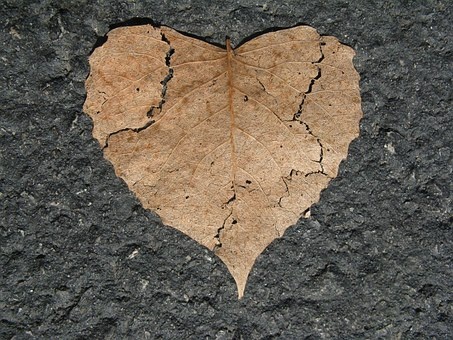 https://cdn.pixabay.com/photo/2015/04/27/22/00/heart-742712__340.jpg