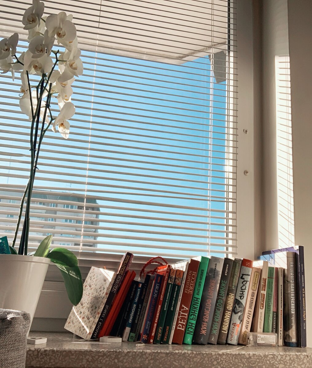 Photo made by Daria Lototska 