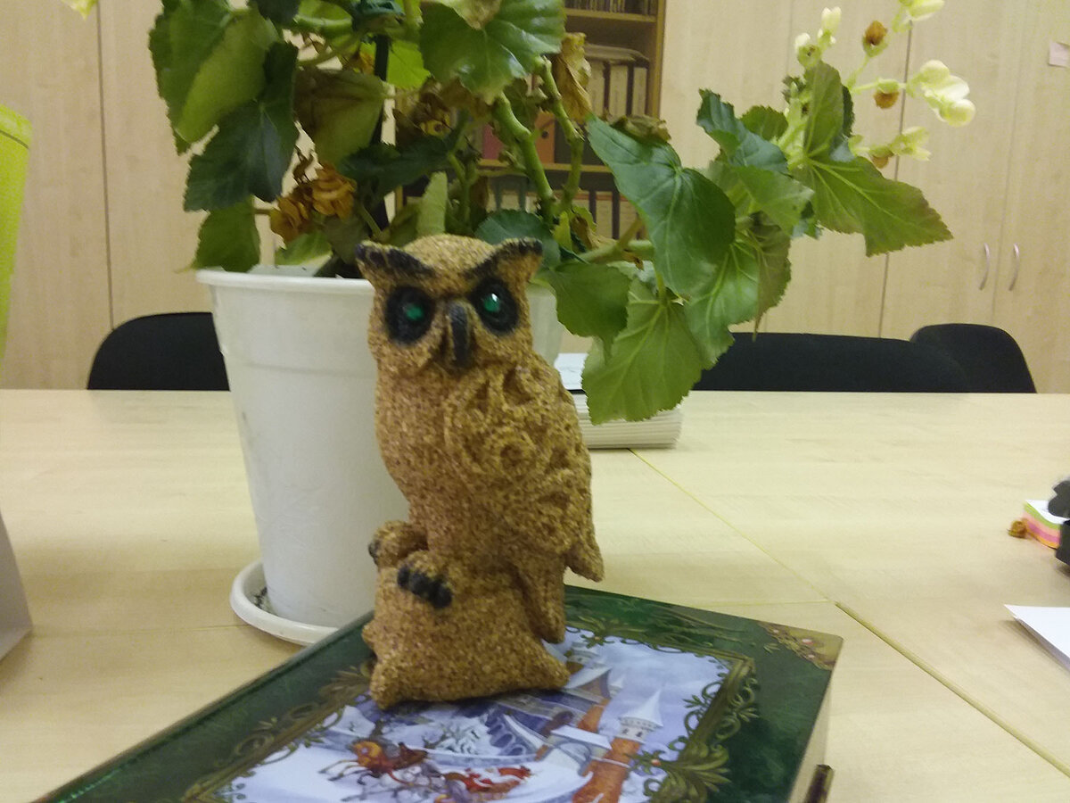 Сова - символ мудрости во многих сказках. Автор фото: Набиуллина София