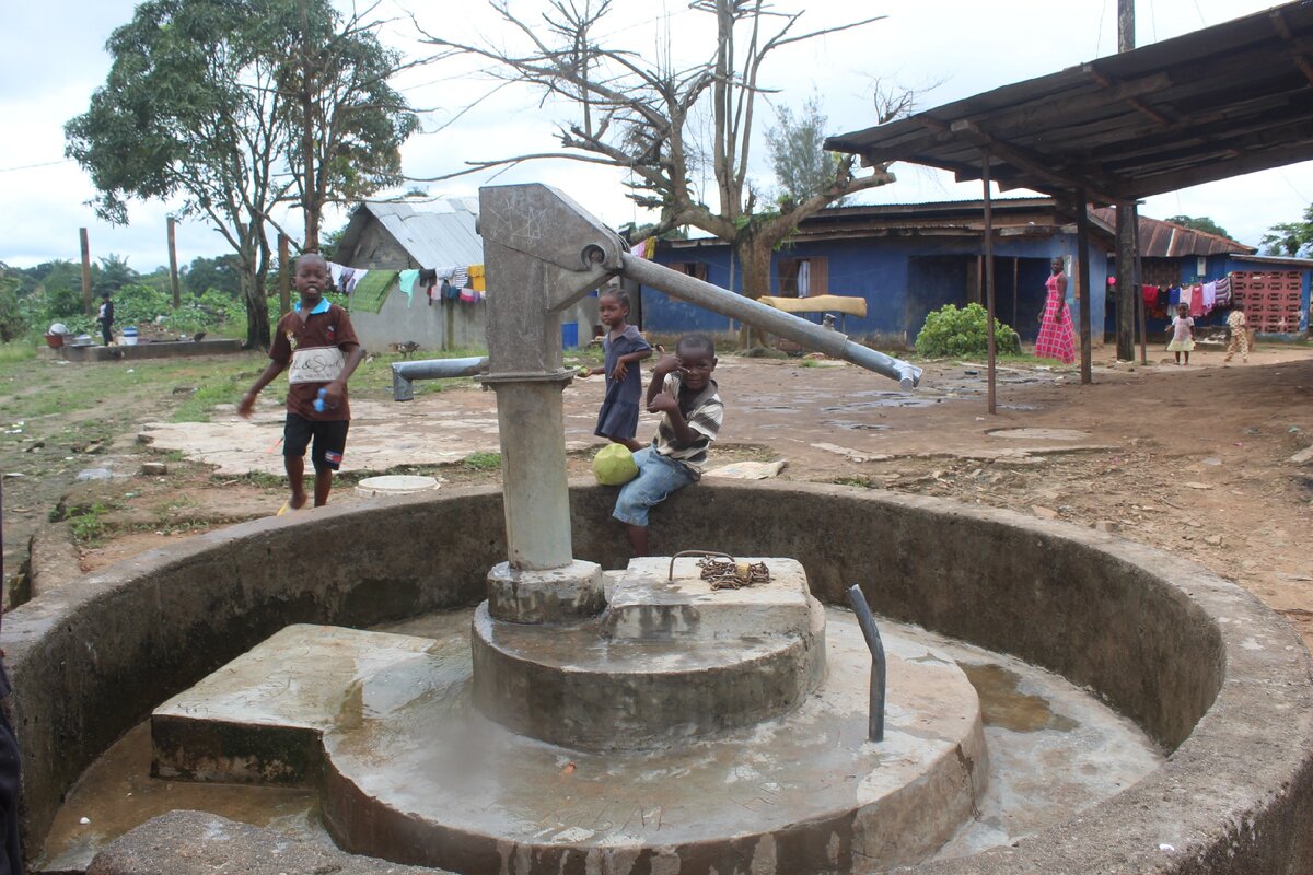 Индийская колонка из Пенджаба