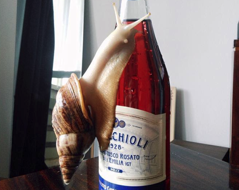 Это африканец Освальд