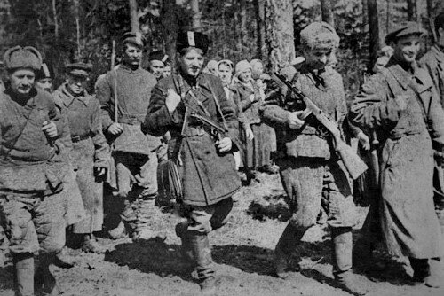 Общество и политика, Власть советам, Великая Отечественная Война, История России, Советский  союз, Партизаны 