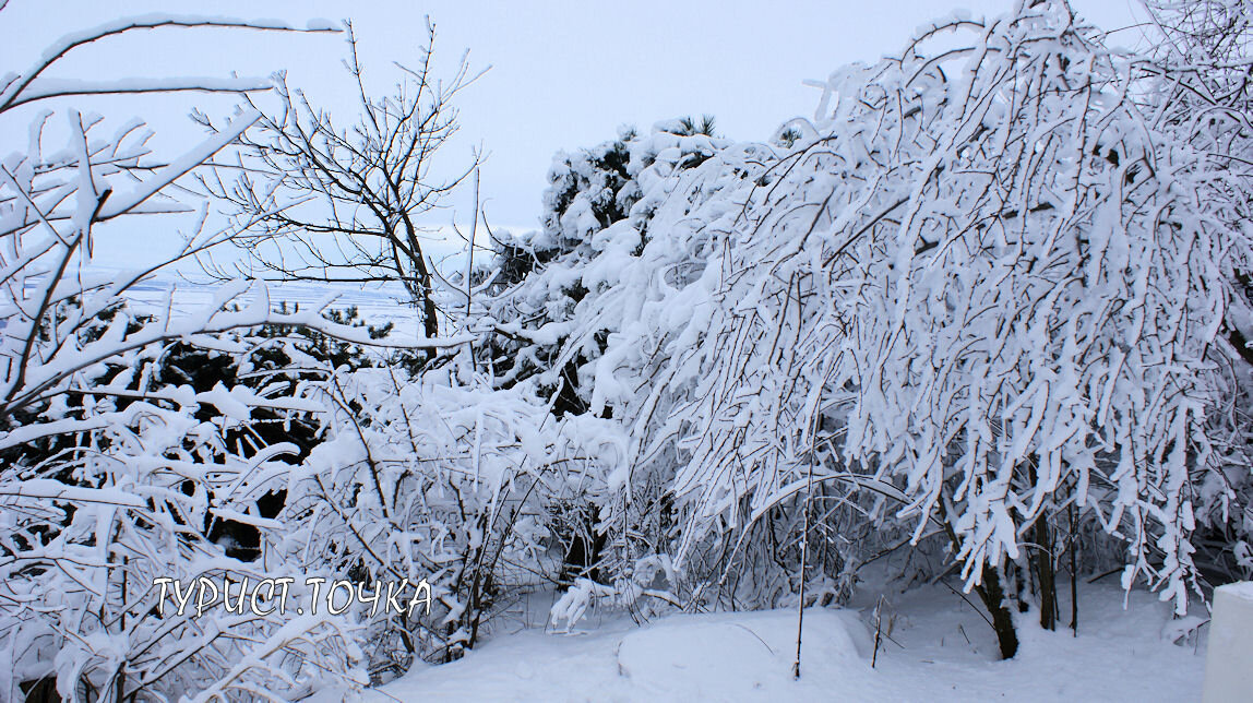 Настоящая зима бывает не везде
