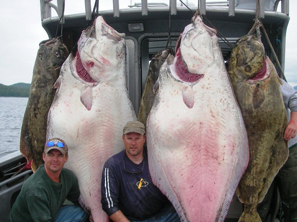 Источник: yandex.ru