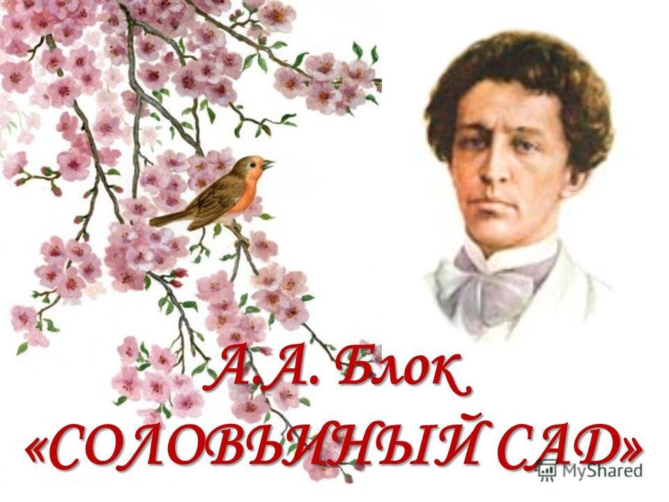 Фото: Яндекс