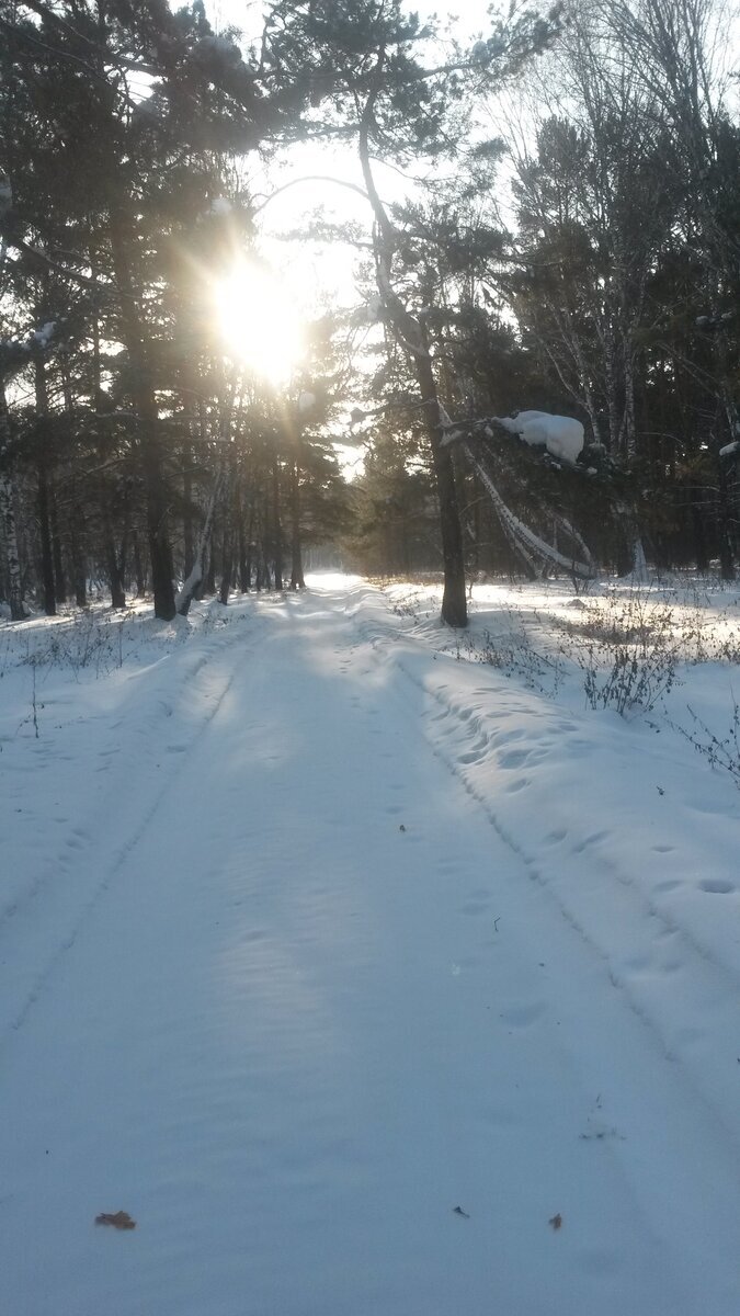 Здесь и далее фото автора