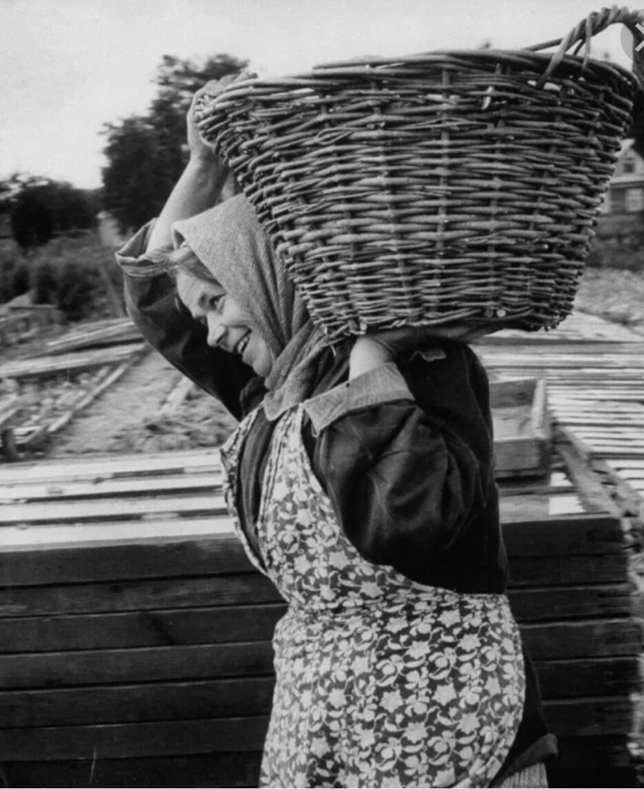 Источник: яндекс.картинки