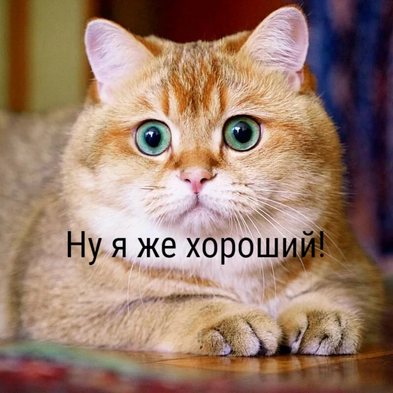 Этот взгляд может вас одурачить...