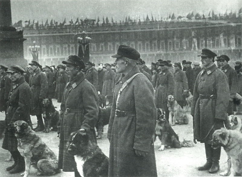 Ленинградский овд. Уголовный розыск Петроград Ленинград Петербург. Милиция Петроград 1922 год. Собаки на параде Победы 1945. Милиция 1920.