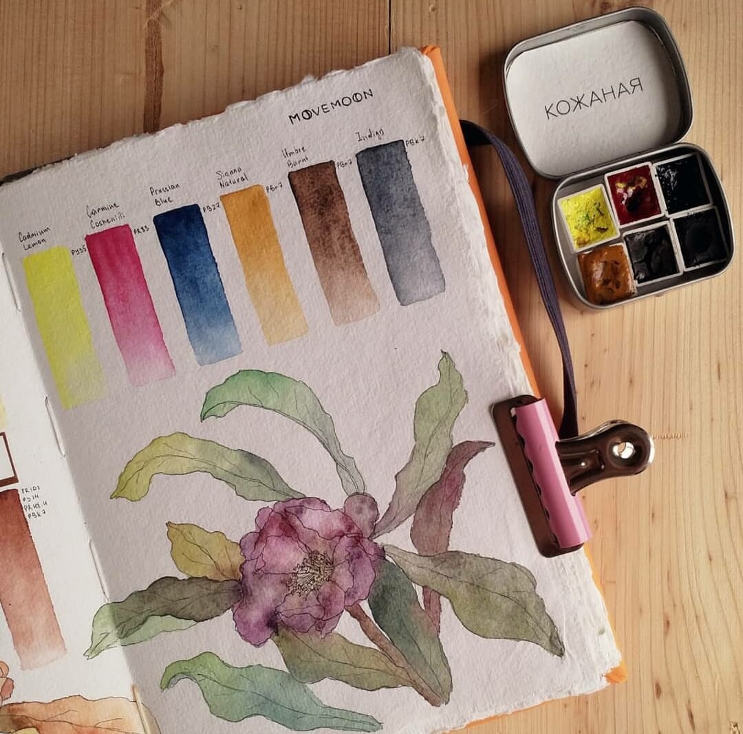 Иллюстратор PLUMandTEAL - Акварель ручной работы MOVEMOON 