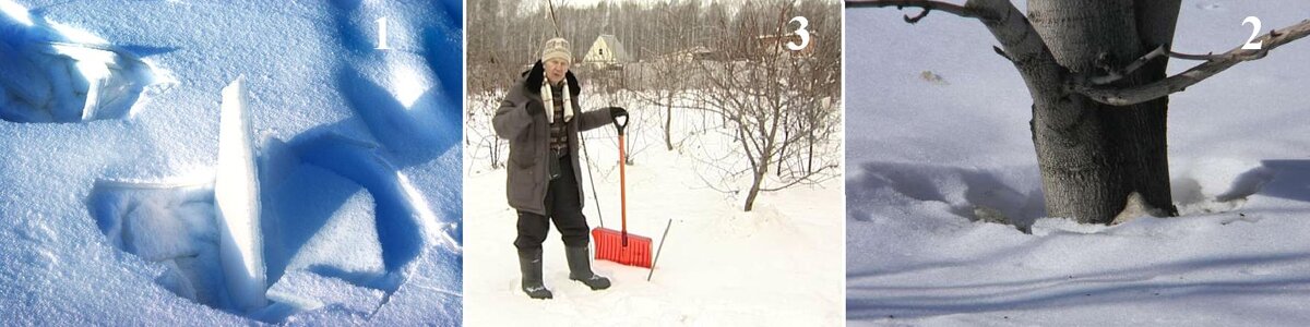 02 - Приметы перелома зимы по снегу: наст (1) и затайки (3) его "заготовка" (2)