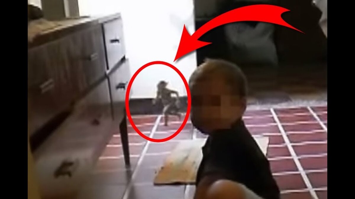 Существуют ли дети. Домовой в реальнойжищни. ДОМОВОЙВ рояльной жизни. Домовой в реальной жизни