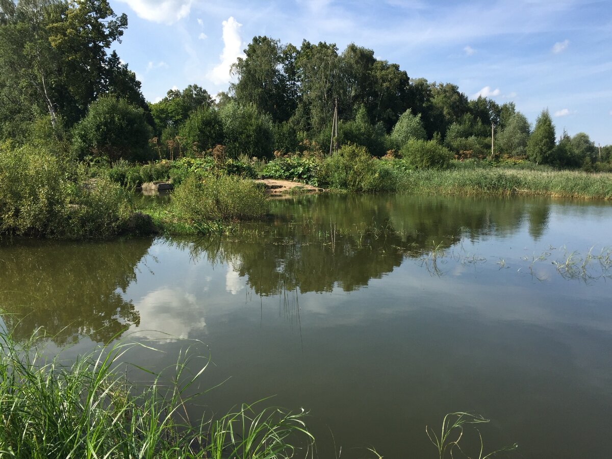 Водохранилище, на берегу которого я хотел построить дом