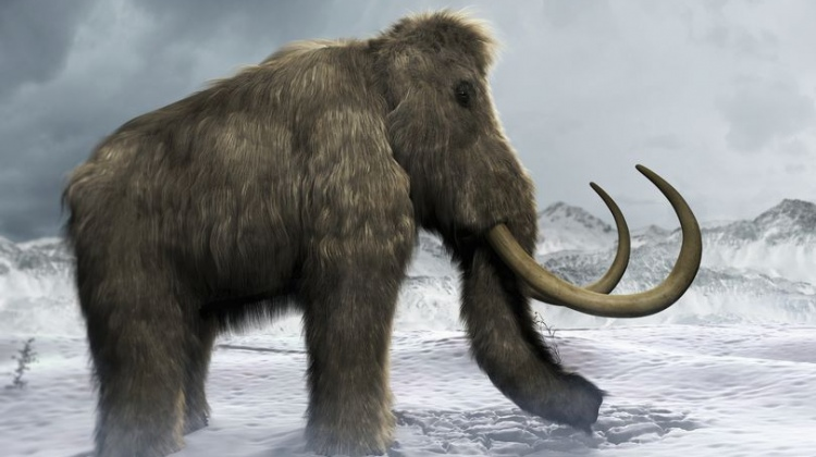 фото с гугл картинки