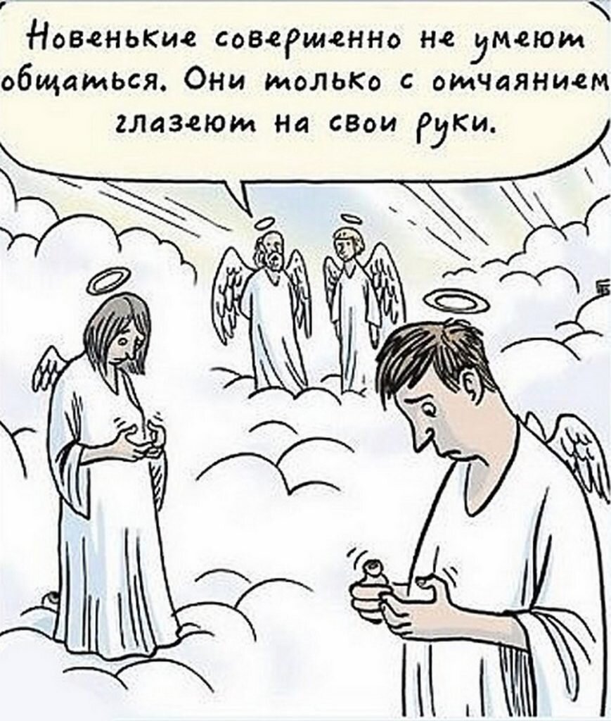 картинка: ribalych.ru